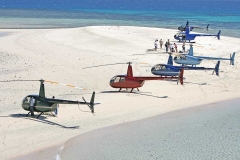 Helibiz Helicopter Safaris